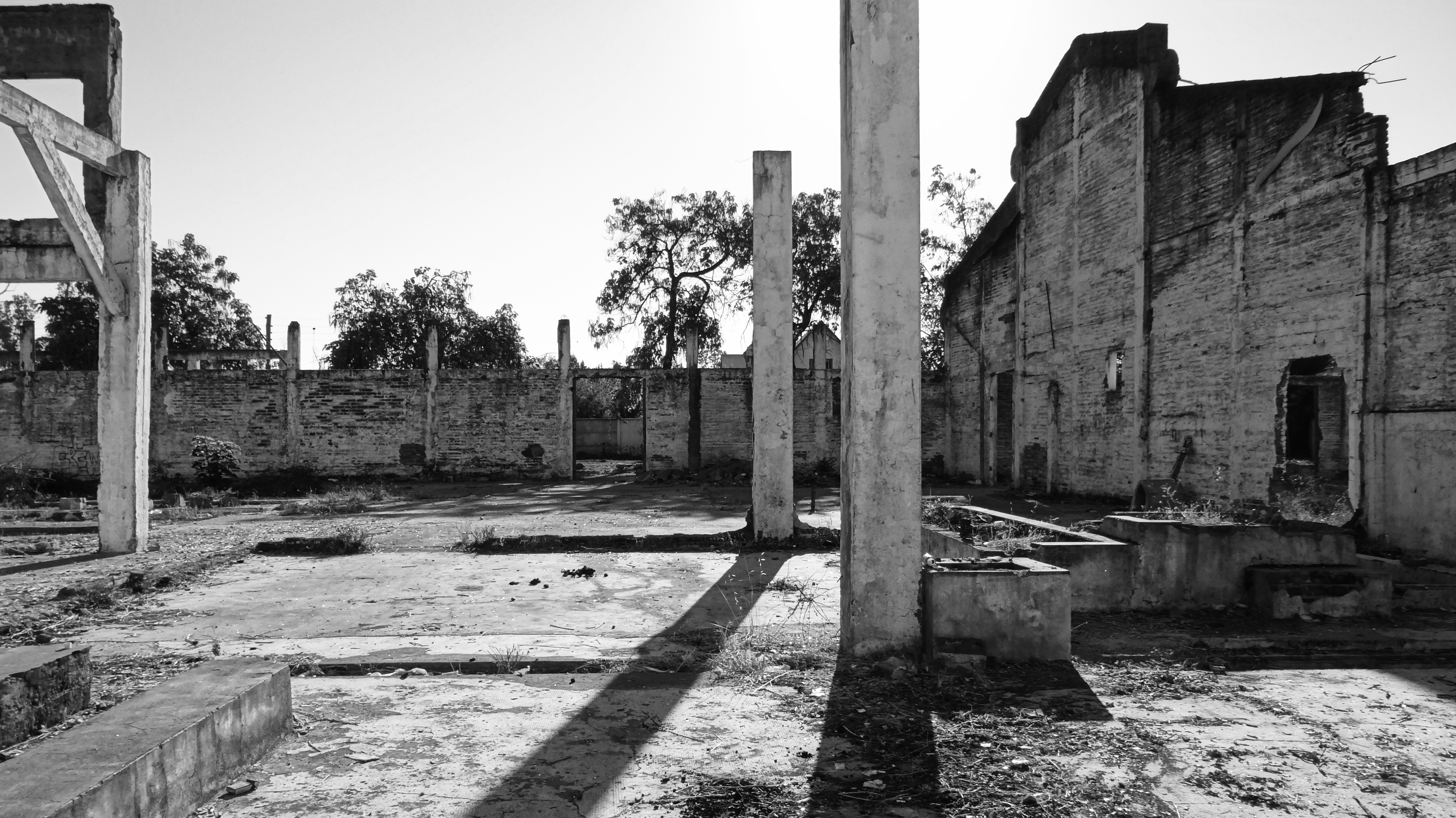 Imagen del liceo